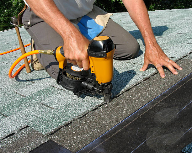 Best Roof Waterproofing Services  in Fox River Grove, IL