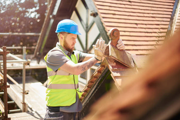 Best Storm Damage Roof Repair  in Fox River Grove, IL
